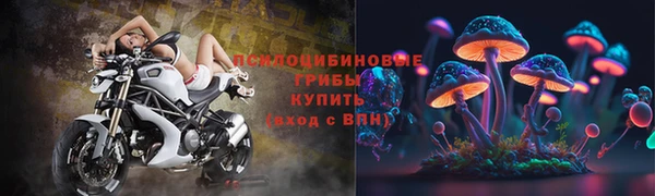 гашик Балахна