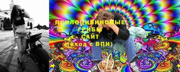 гашик Балахна